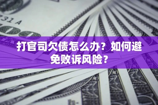 北京打官司欠债怎么办？如何避免败诉风险？